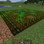 Minecraft　食料を安定して確保する畑の作り方