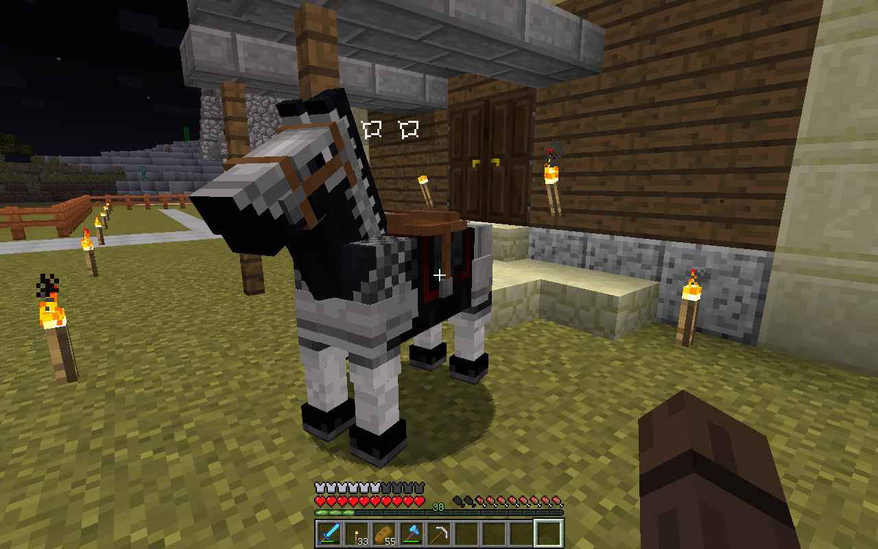 Minecraft 我が愛馬の名前決定 馬に名前をつける方法 Hiro流ゲームライフ
